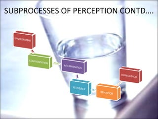 SUBPROCESSES OF PERCEPTION CONTD…. 