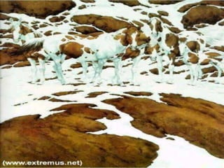 Organizational
Behavior / Perception
4
 