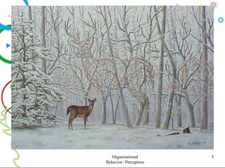 Organizational
Behavior / Perception
5
 