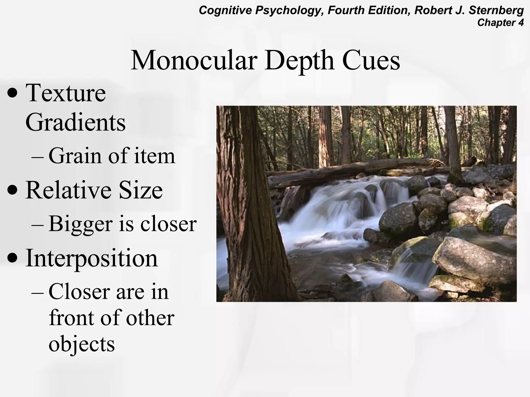 Texture Gradients Grain of item Relative Size Bigger is closer Interposition Closer are in front of other objects Monocular Depth Cues 