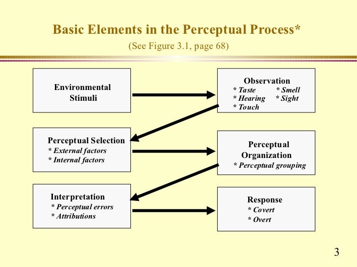 the perception of the perception process Perception the act or process of becoming aware of internal or external sensory stimuli or events, involving the meaningful organization and interpretation of those. the perception of the perception process Perception the act or process of becoming aware of internal or external sensory stimuli or events, involving the meaningful organization and interpretation of those.