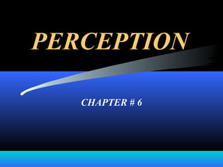 PERCEPTION

   CHAPTER # 6
 