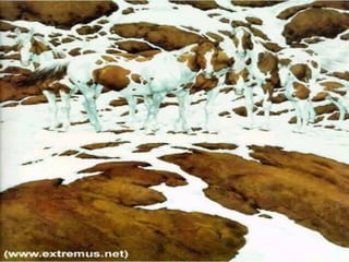 Organizational Behavior / Perception
                                 15
 