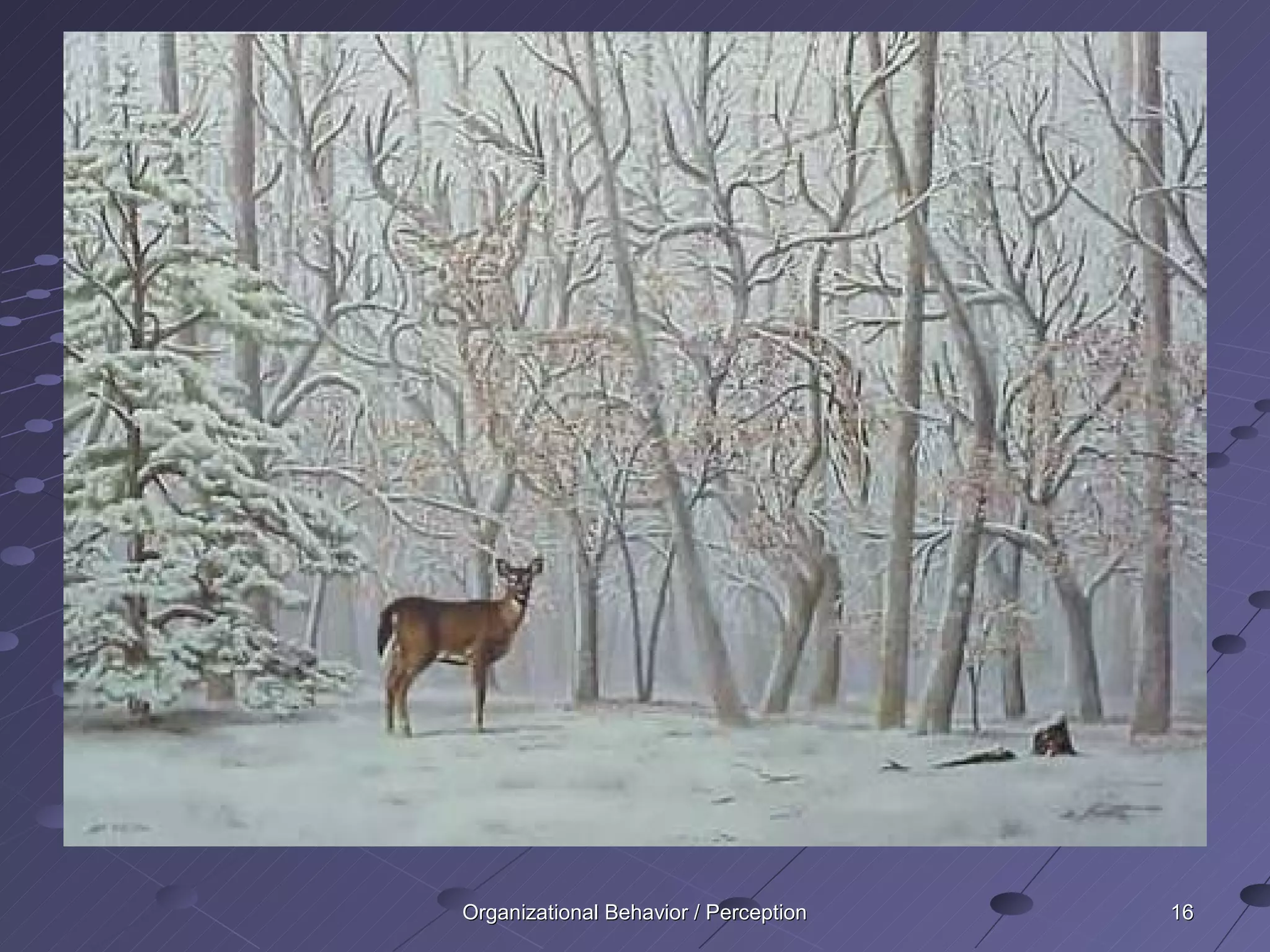 Organizational Behavior / Perception   16
 