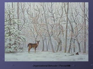 Organizational Behavior / Perception
                                 16
 