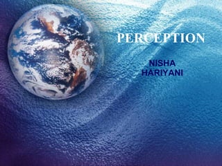 PERCEPTION NISHA HARIYANI 