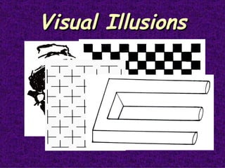 Visual Illusions 