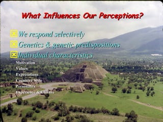 What Influences Our Perceptions? <ul><li>We respond selectively </li></ul><ul><li>Genetics & genetic predispositions </li>...