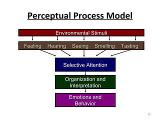 Perceptual Process Model
Environmental Stimuli
Feeling

Hearing

Seeing

Smelling

Tasting

Selective Attention
Organization and
Interpretation
Emotions and
Behavior
12

 
