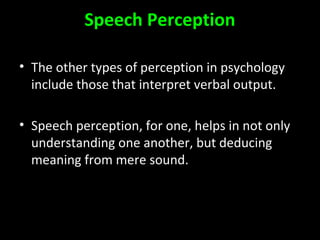 Perceptone Perception | PPT