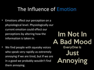 Perception | PPT