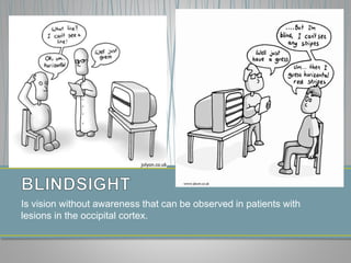 Is vision without awareness that can be observed in patients with
lesions in the occipital cortex.
 