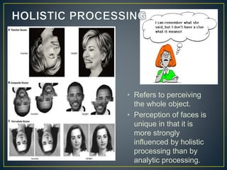 • Refers to perceiving
the whole object.
• Perception of faces is
unique in that it is
more strongly
influenced by holistic
processing than by
analytic processing.
 