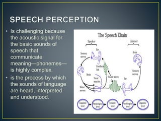 • Is challenging because
the acoustic signal for
the basic sounds of
speech that
communicate
meaning—phonemes—
is highly complex.
• is the process by which
the sounds of language
are heard, interpreted
and understood.
 