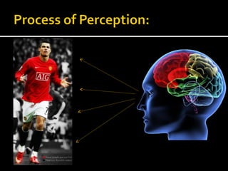 Perception