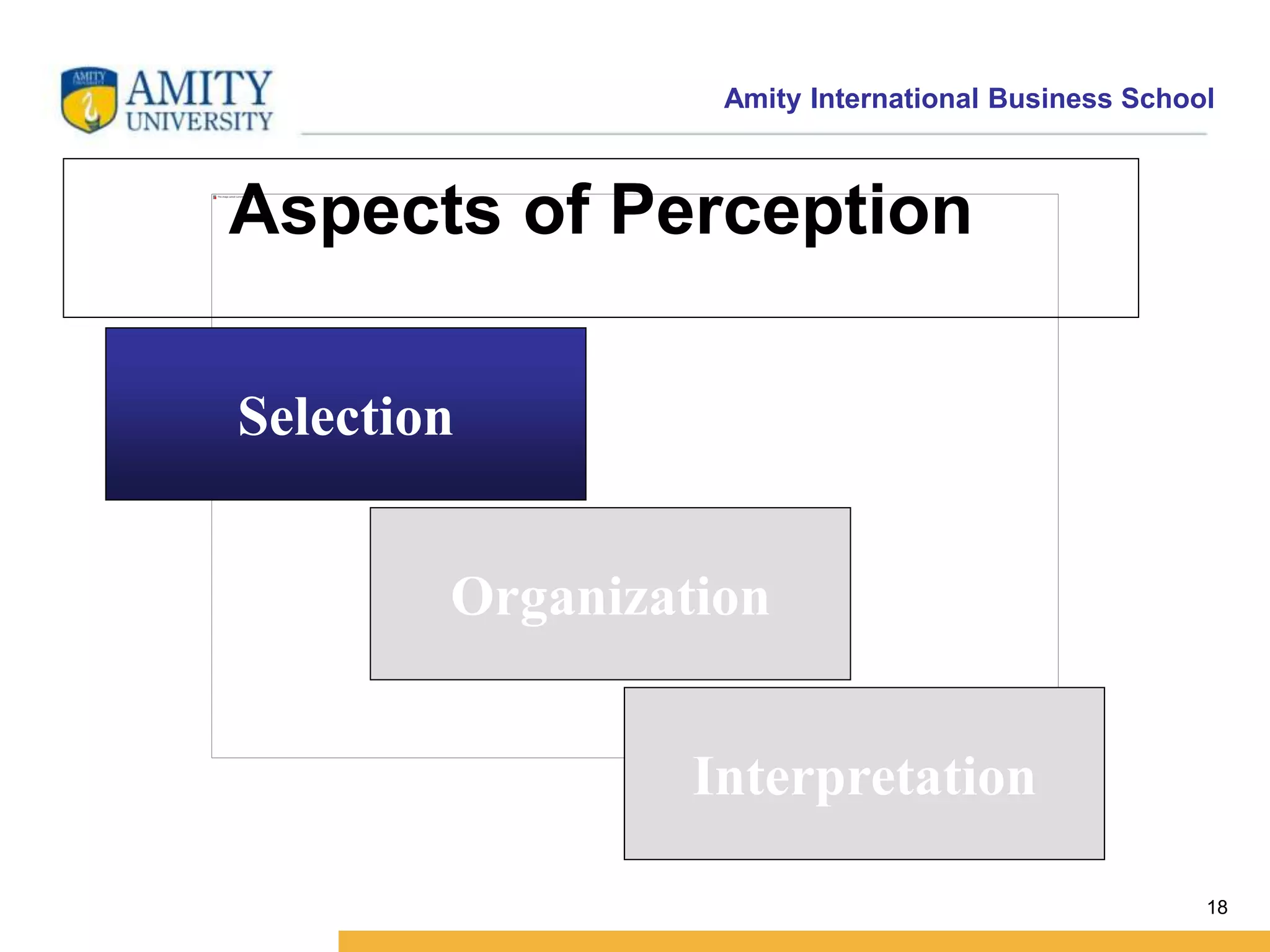 Amity International Business School 
18 
Aspects of Perception 
Selection 
Organization 
Interpretation 
 