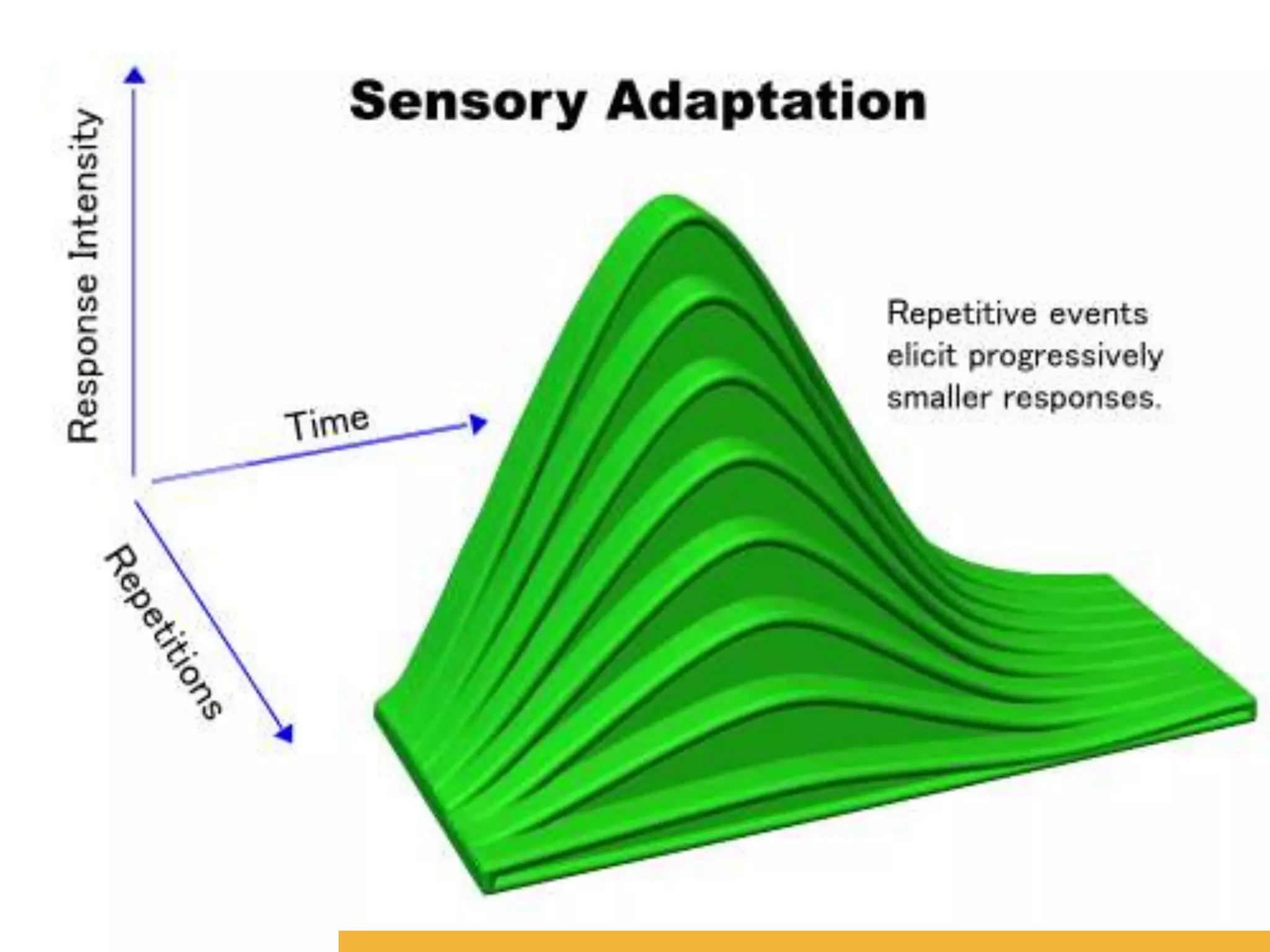 Amity International Business School 
7 
 