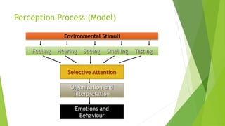 Perception Process (Model) 
Environmental Stimuli 
Feeling Hearing Seeing Smelling Tasting 
Selective Attention 
Organization and 
Interpretation 
Emotions and 
Behaviour 
 