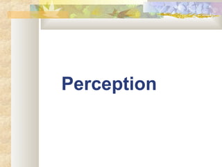 Perception | PPT