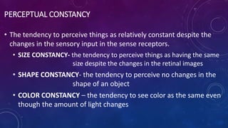 PERCEPTUAL CONSTANCY
• The tendency to perceive things as relatively constant despite the
changes in the sensory input in the sense receptors.
• SIZE CONSTANCY- the tendency to perceive things as having the same
size despite the changes in the retinal images
• SHAPE CONSTANCY- the tendency to perceive no changes in the
shape of an object
• COLOR CONSTANCY – the tendency to see color as the same even
though the amount of light changes
 