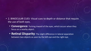 • 2. BINOCULAR CUES- Visual cues to depth or distance that require
the use of both eyes.
• Convergence: Turning inward of the eyes, which occurs when they
focus on a nearby object.
• Retinal Disparity: The slight difference in lateral separation
between two objects as seen by the left eye and the right eye.
 