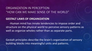 ORGANIZATION IN PERCEPTION
“HOW CAN WE MAKE SENSE OF THE WORLD”
GESTALT LAWS OF ORGANIZATION
-Human mind has innate tendencies to impose order and
structure on the physical world to perceive sensory patterns as
well as organize wholes rather than as separate parts.
Gestalt principles describe the brain’s organization of sensory
building blocks into meaningful units and patterns.
 