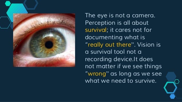 perception definition anatomy perception definition anatomy