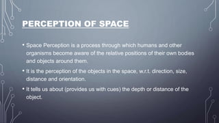 PERCEPTION OF SPACE
• Space Perception is a process through which humans and other
organisms become aware of the relative positions of their own bodies
and objects around them.
• It is the perception of the objects in the space, w.r.t. direction, size,
distance and orientation.
• It tells us about (provides us with cues) the depth or distance of the
object.
 