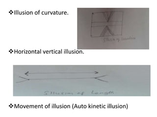 Illusion of curvature.
Horizontal vertical illusion.
Movement of illusion (Auto kinetic illusion)
 