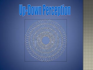 Unit 3 Cognitive Process / Perception | PDF