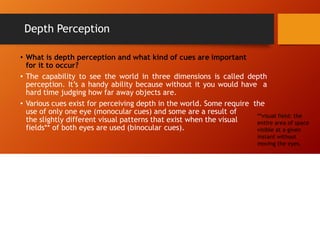 Depth Perception
• What is depth perception and what kind of cues are important
for it to occur?
• The capability to see the world in three dimensions is called depth
perception. It’s a handy ability because without it you would have a
hard time judging how far away objects are.
• Various cues exist for perceiving depth in the world. Some require the
use of only one eye (monocular cues) and some are a result of
the slightly different visual patterns that exist when the visual
fields** of both eyes are used (binocular cues).
**visual field: the
entire area of space
visible at a given
instant without
moving the eyes.
 