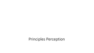 Principles Perception
 