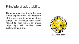 Principle of adaptability
The perceptual organization for some
stimuli depends upon the adaptability
of the perceiver to perceive similar
stimuli. An individual who adapts
himself to work before an intense
bright light will perceive normal
sunlight as quite dim.
 