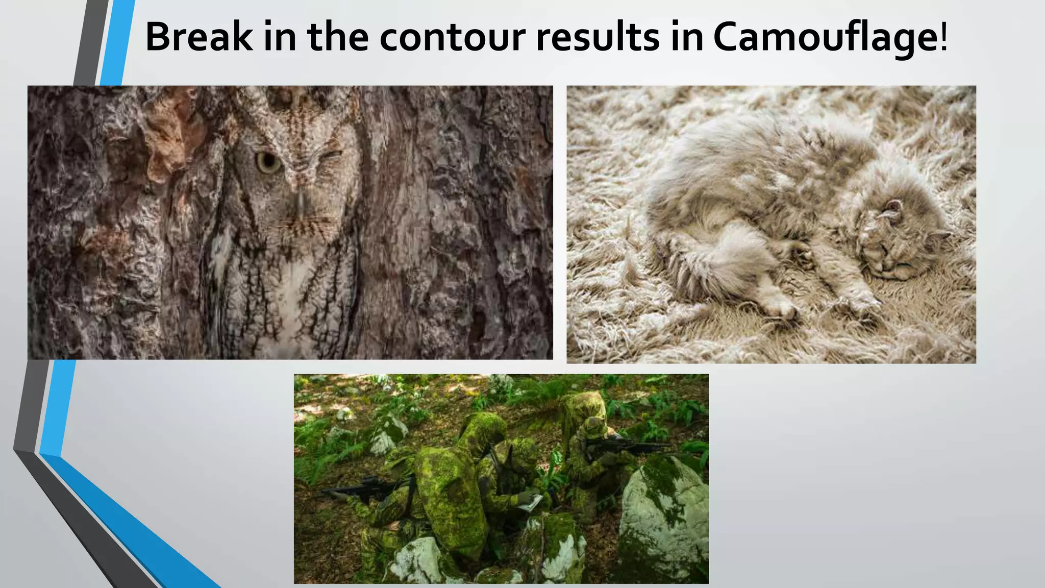 Break in the contour results in Camouflage!
 