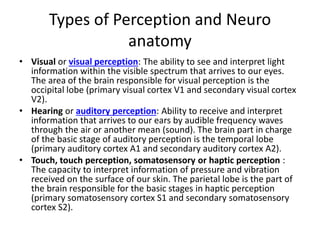 Types of Perception and Neuro
anatomy
• Visual or visual perception: The ability to see and interpret light
information within the visible spectrum that arrives to our eyes.
The area of the brain responsible for visual perception is the
occipital lobe (primary visual cortex V1 and secondary visual cortex
V2).
• Hearing or auditory perception: Ability to receive and interpret
information that arrives to our ears by audible frequency waves
through the air or another mean (sound). The brain part in charge
of the basic stage of auditory perception is the temporal lobe
(primary auditory cortex A1 and secondary auditory cortex A2).
• Touch, touch perception, somatosensory or haptic perception :
The capacity to interpret information of pressure and vibration
received on the surface of our skin. The parietal lobe is the part of
the brain responsible for the basic stages in haptic perception
(primary somatosensory cortex S1 and secondary somatosensory
cortex S2).
 