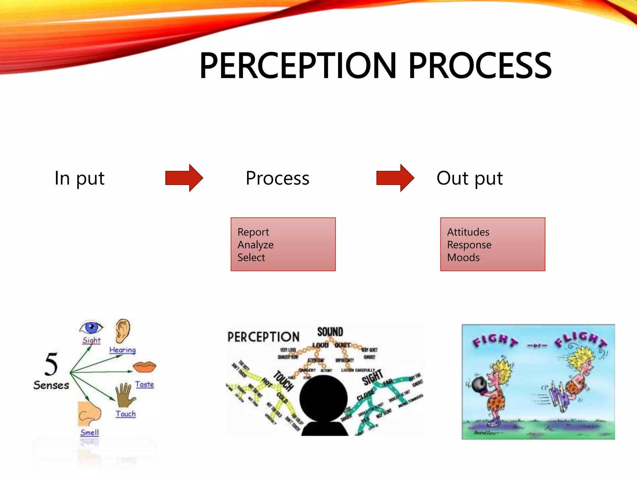 PERCEPTION PROCESS
In put Process Out put
Attitudes
Response
Moods
Report
Analyze
Select
 