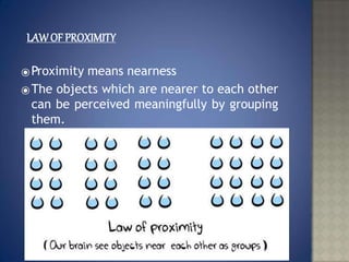 Perception.pptx