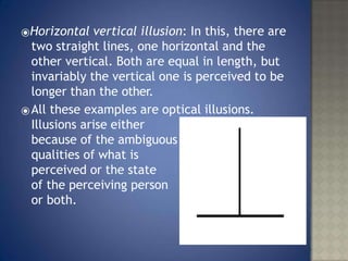 Invariably Person Example Perception.pptx