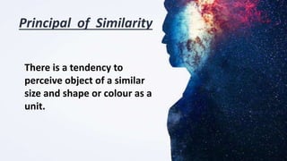 Perception.pptx