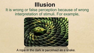 PERCEPTION.pptx