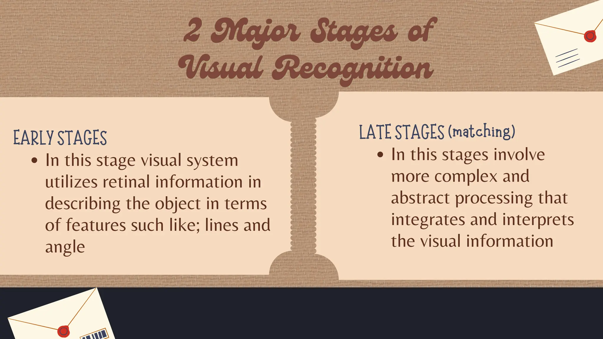 EARLY STAGES
In this stage visual system
utilizes retinal information in
describing the object in terms
of features such like; lines and
angle
LATE STAGES (matching)
In this stages involve
more complex and
abstract processing that
integrates and interprets
the visual information
 