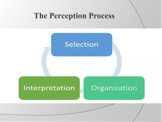 Perception.ppt It is useful for the students | PPT