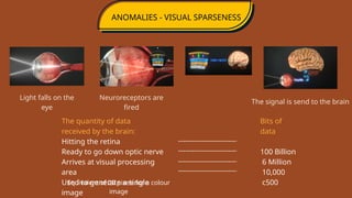 perception ppt on the bhagavad samkhya of IIT Mandi | PPTX