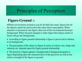 Perceive Relative Comprehensive Overview of Perception: Principles, Characteristics, and ...