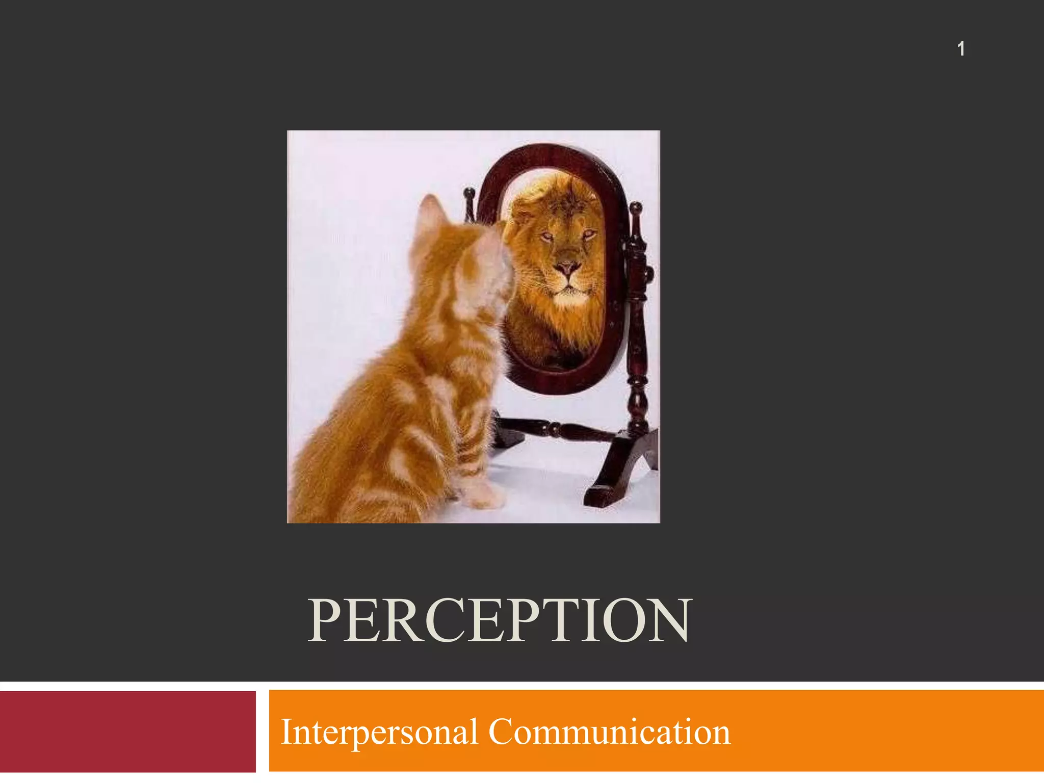 PerceptionInterpersonal Communication1