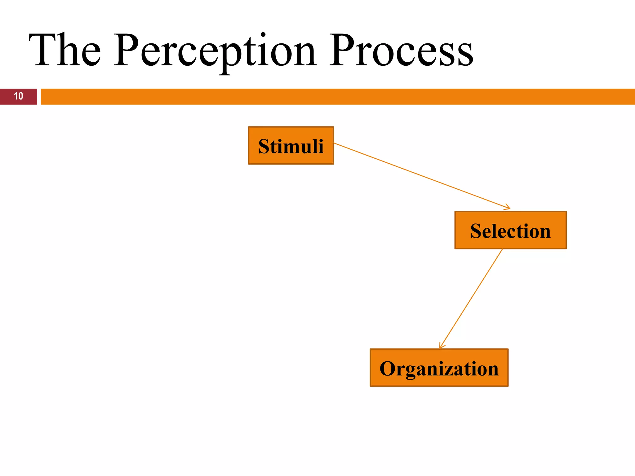 10The Perception ProcessStimuliSelectionOrganization