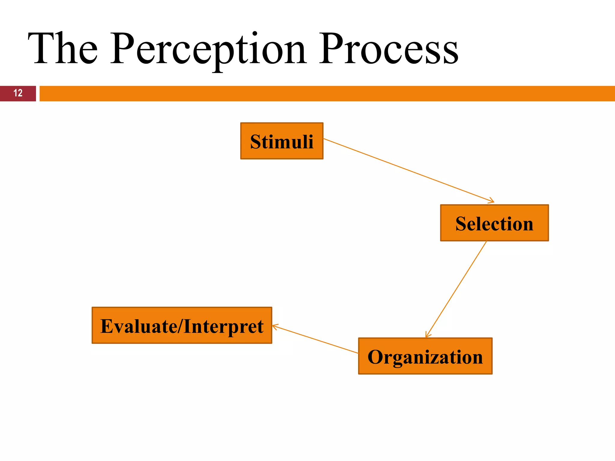 12The Perception ProcessStimuliSelectionEvaluate/InterpretOrganization