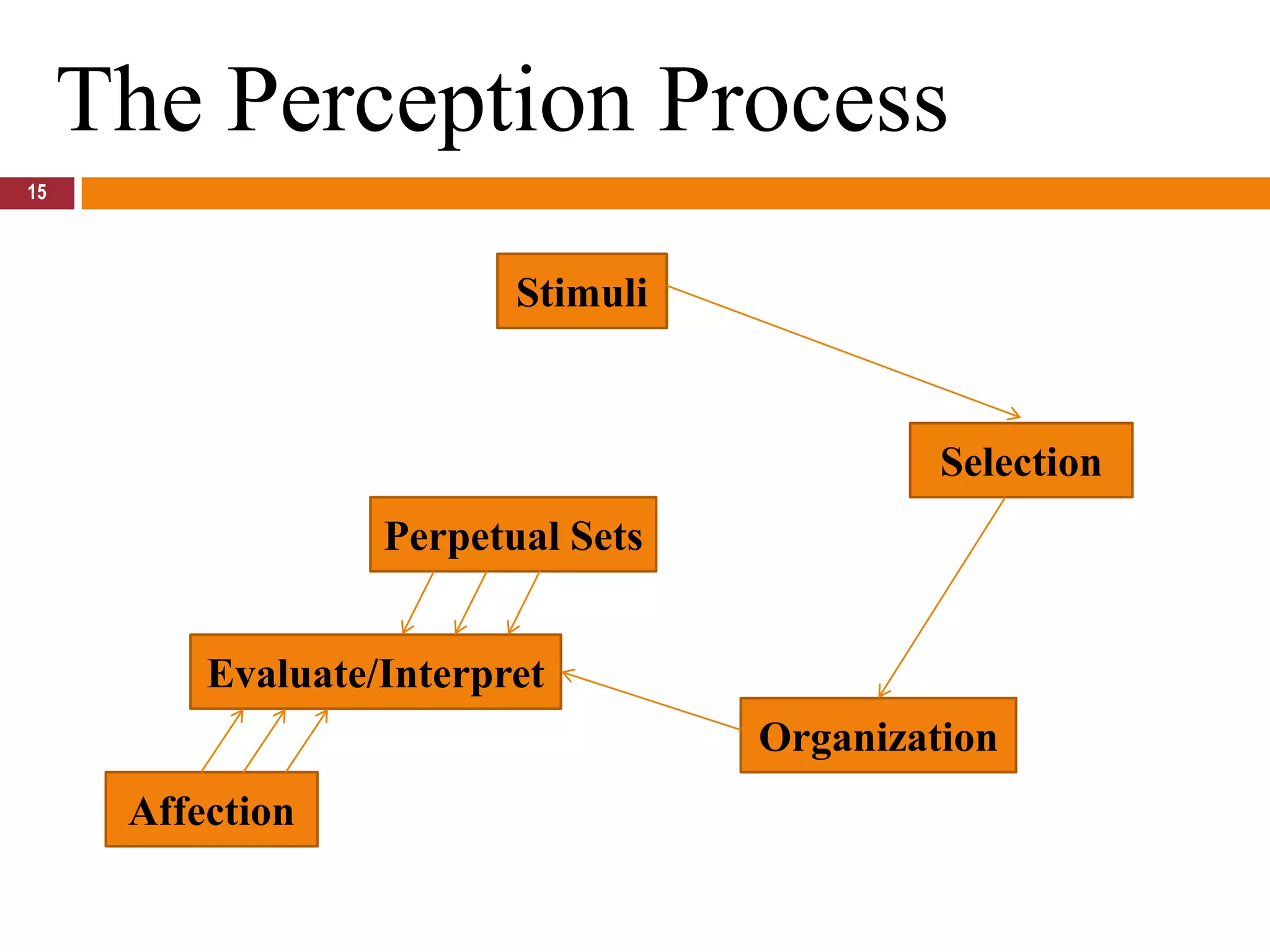 15The Perception ProcessStimuliSelectionPerpetual SetsEvaluate/InterpretOrganizationAffection