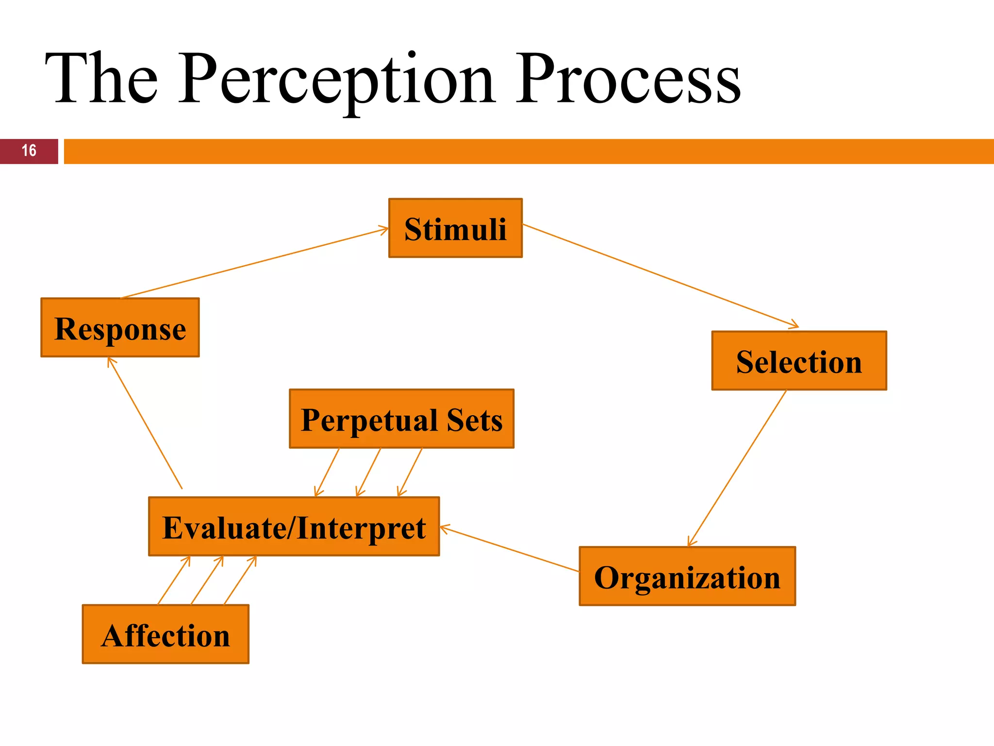 16The Perception ProcessStimuliResponseSelectionPerpetual SetsEvaluate/InterpretOrganizationAffection