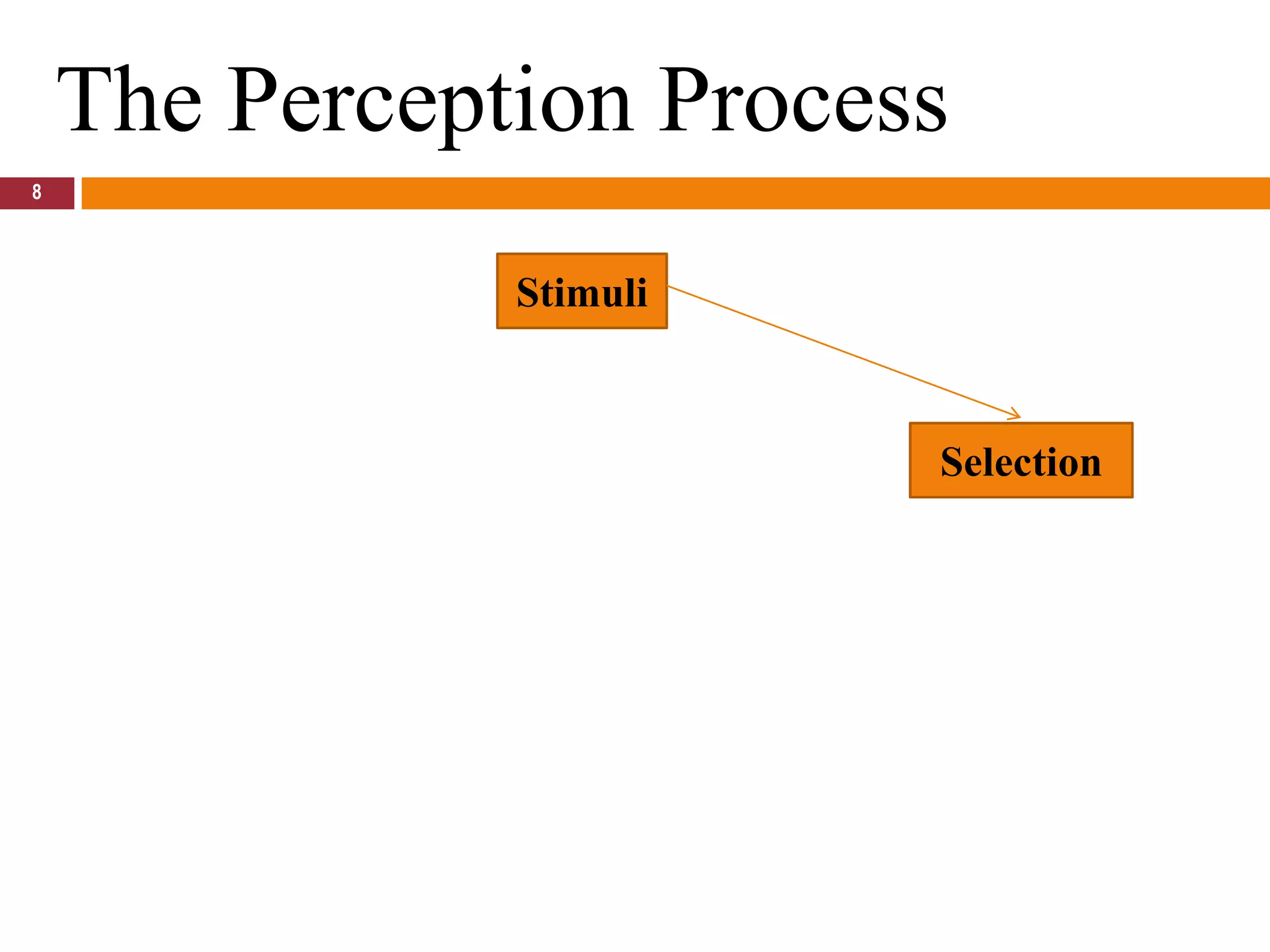 8The Perception ProcessStimuliSelection